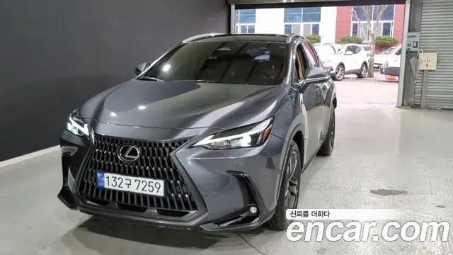 Lexus NX350h 2023 — Photo 12/18