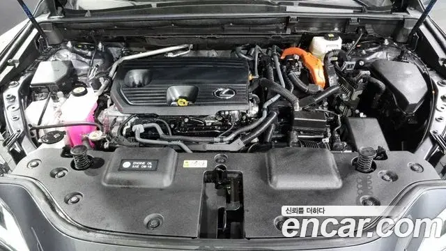 Lexus NX350h 2023 — Photo 9/18