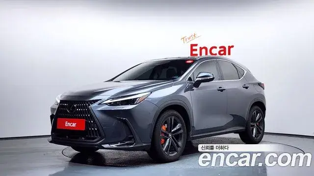Lexus NX350h 2024 — Şəkil 14/20