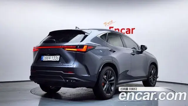 Lexus NX350h 2024 — Şəkil 2/20