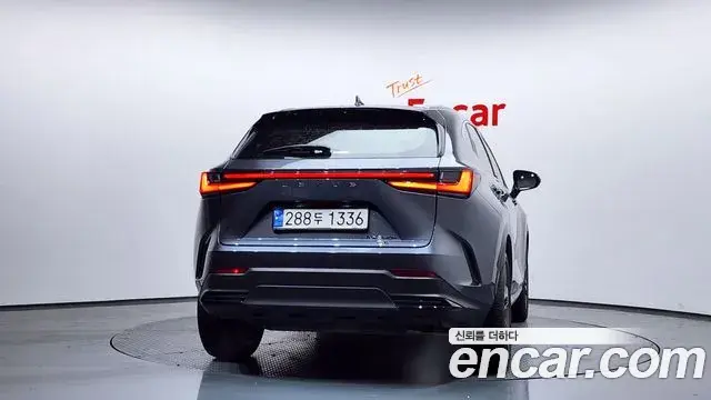 Lexus NX350h 2024 — Şəkil 6/20