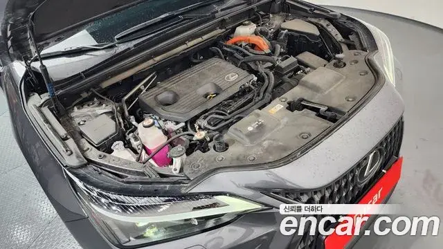 Lexus NX350h 2024 — Şəkil 16/20