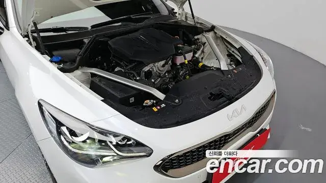 Kia Stinger Meister 2022 — ფოტო 8/20