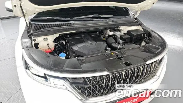 Kia Carnival 2021 — Фото 6/20