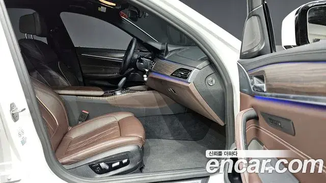 BMW 5 Series 2020 — Şəkil 6/20