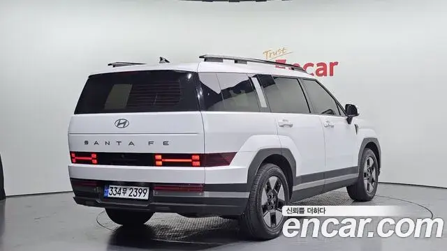 Hyundai Santa Fe 2024 — ფოტო 15/20