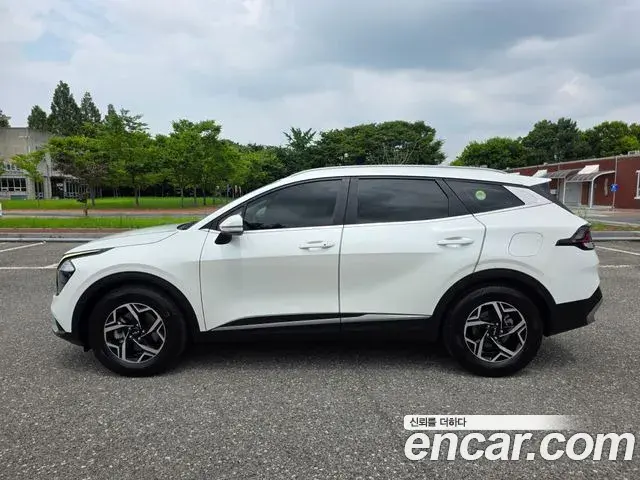 Kia Sportage 2021 — Фото 11/20