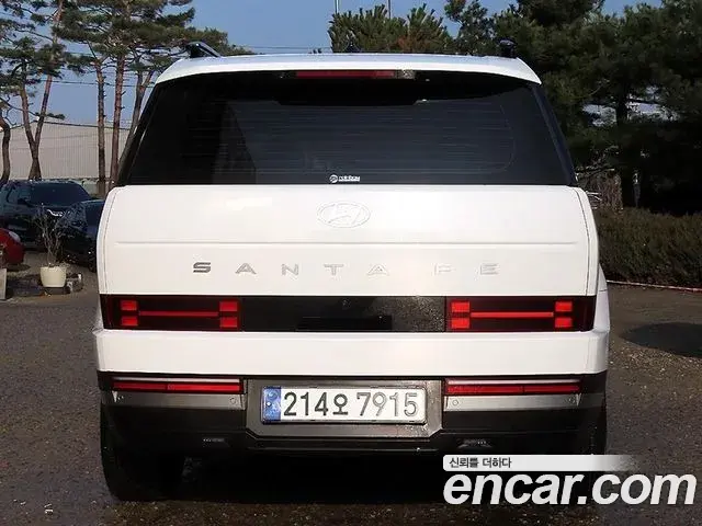 Hyundai Santa Fe 2024 — ფოტო 10/20
