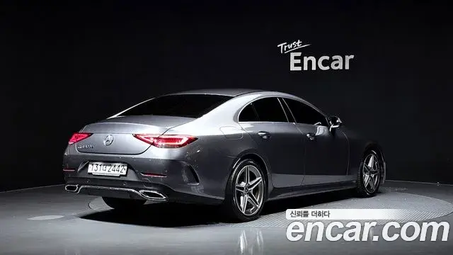 Mercedes-Benz CLS-Class 2020 — ფოტო 19/20
