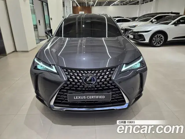 Lexus UX300h 2025 — ფოტო 8/15