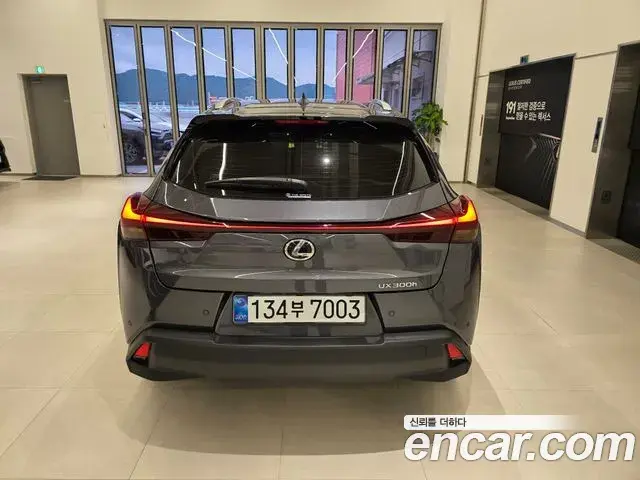 Lexus UX300h 2025 — ფოტო 11/15
