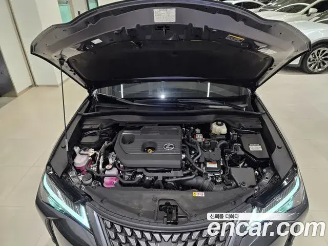 Lexus UX300h 2025 — ფოტო 7/15
