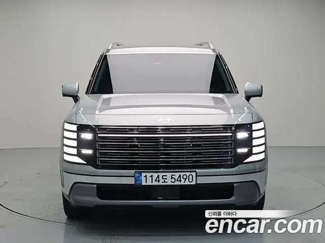Hyundai Palisade 2025 — ფოტო 19/20