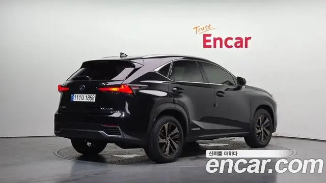 Lexus NX300h 2021 — Photo 30/38