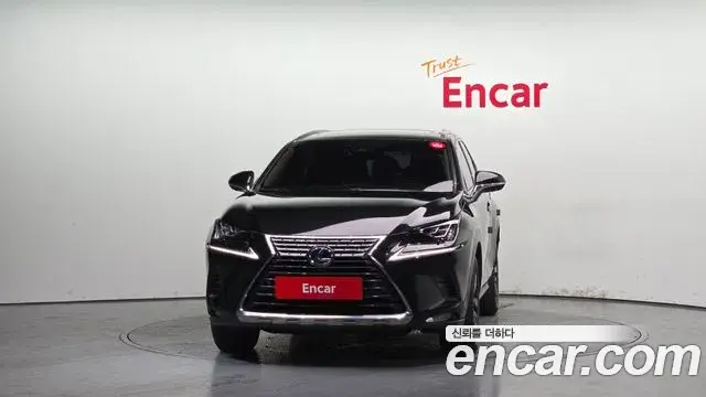 Lexus NX300h 2021 — Photo 16/38