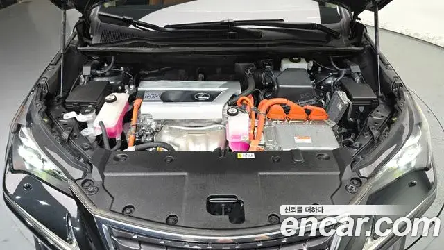 Lexus NX300h 2021 — Photo 24/38