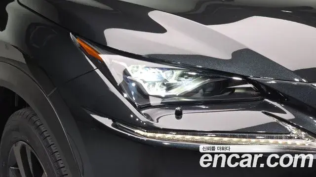 Lexus NX300h 2021 — Photo 8/38