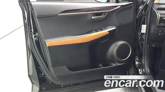 Lexus NX300h 2021 — Photo 9/38