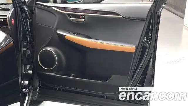 Lexus NX300h 2021 — Photo 38/38
