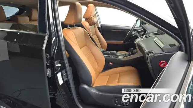 Lexus NX300h 2021 — Photo 21/38