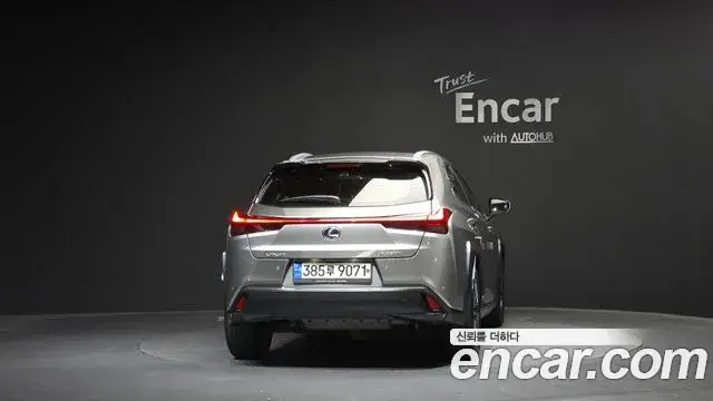 Lexus UX250h 2019 — ფოტო 29/32