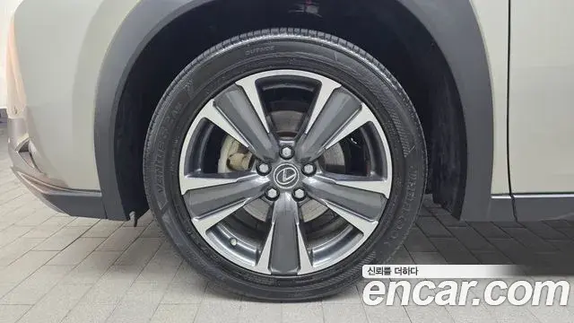 Lexus UX250h 2019 — ფოტო 12/32