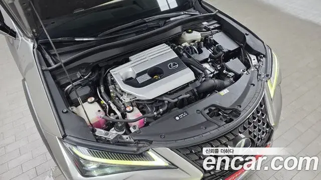 Lexus UX250h 2019 — ფოტო 25/32