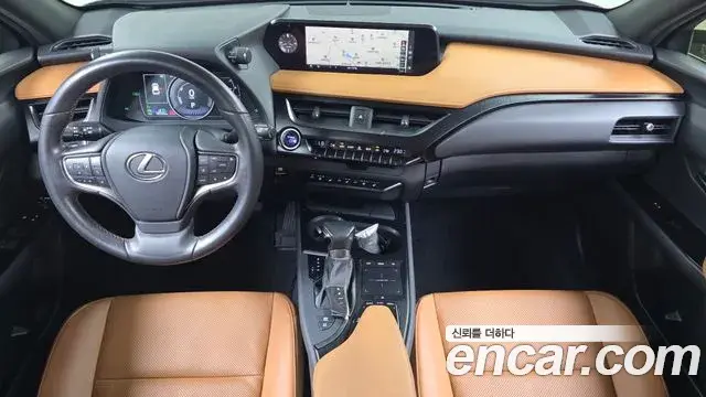 Lexus UX250h 2019 — ფოტო 10/32