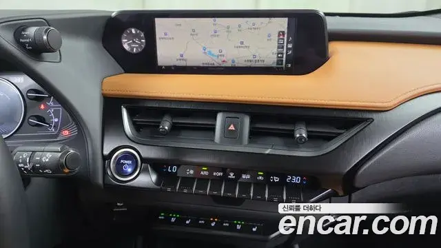 Lexus UX250h 2019 — ფოტო 21/32