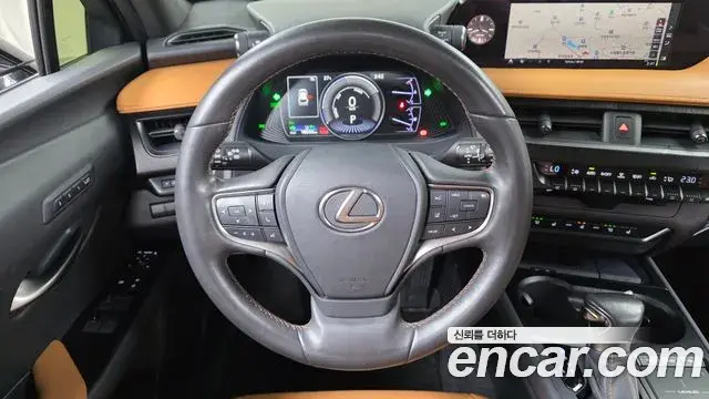Lexus UX250h 2019 — ფოტო 15/32