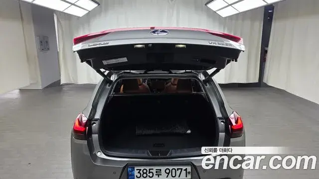 Lexus UX250h 2019 — ფოტო 24/32