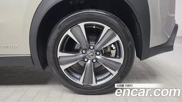 Lexus UX250h 2019 — ფოტო 13/32