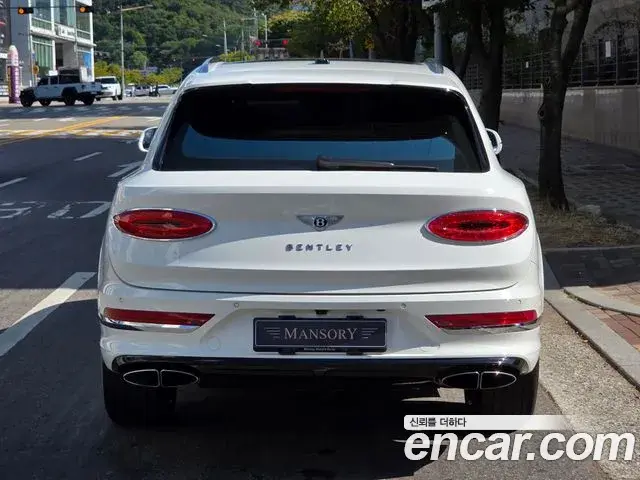 Bentley Bentayga 2021 — ფოტო 7/20