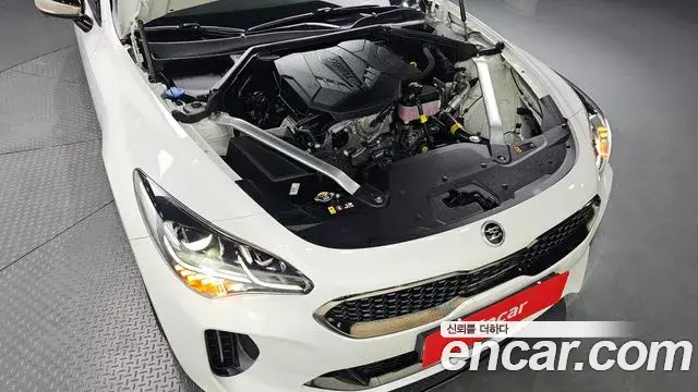 Kia Stinger 2021 — Фото 6/20