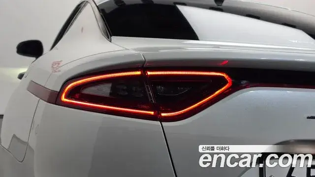 Kia Stinger 2019 — ფოტო 31/33