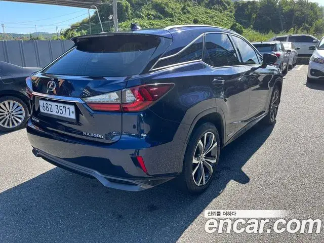 Lexus RX450h 2019 — Photo 17/20