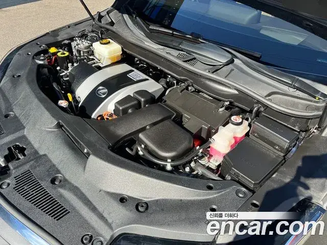 Lexus RX450h 2019 — Photo 16/20