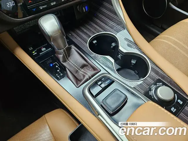 Lexus RX450h 2019 — Photo 13/20