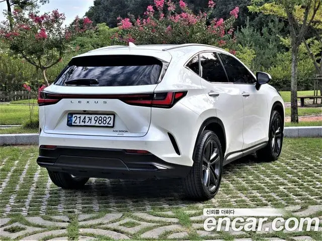 Lexus NX350h 2025 — Photo 17/20