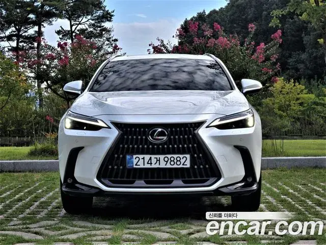Lexus NX350h 2025 — Photo 8/20