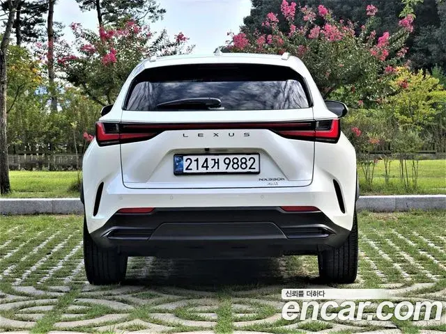 Lexus NX350h 2025 — Photo 19/20
