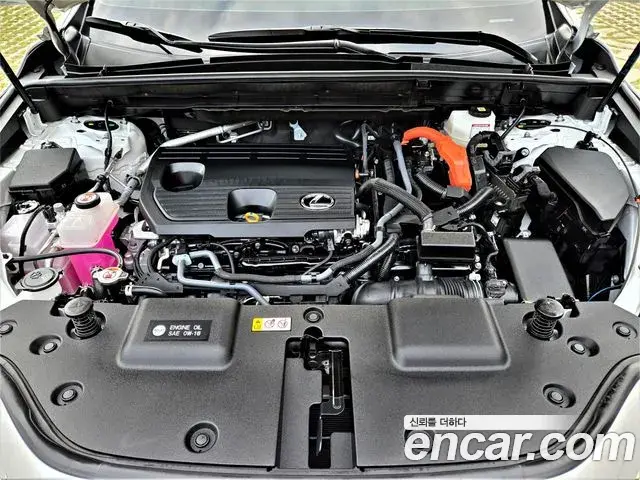 Lexus NX350h 2025 — Photo 11/20