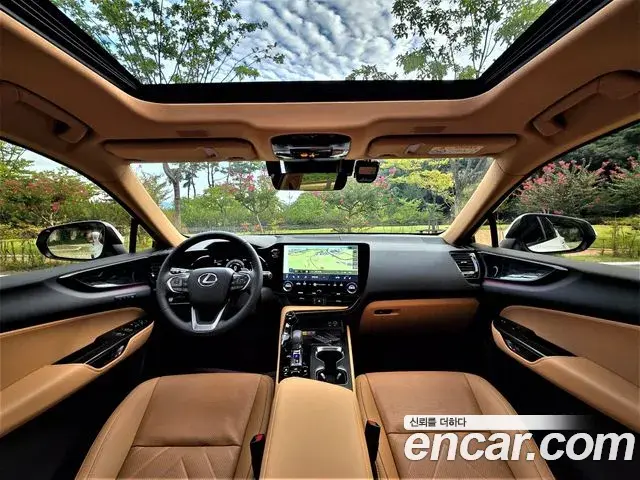 Lexus NX350h 2025 — Photo 13/20