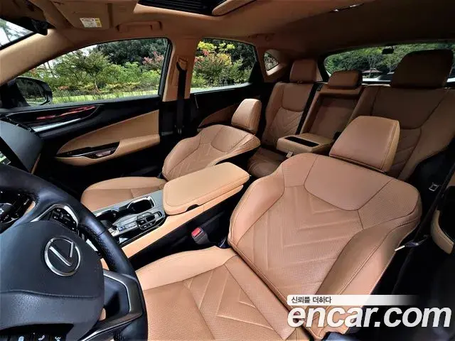 Lexus NX350h 2025 — Photo 15/20
