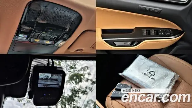 Lexus NX350h 2025 — Photo 10/20
