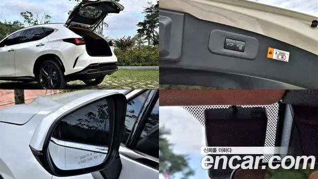 Lexus NX350h 2025 — Photo 1/20