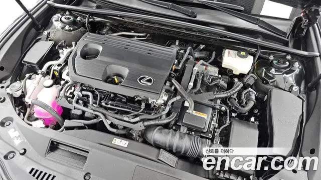 Lexus ES300h 2025 — Photo 19/37