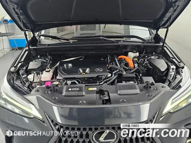 Lexus NX350h 2025 — Фото 5/20