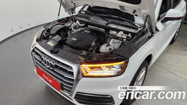 Audi Q5 2020 — ფოტო 3/20
