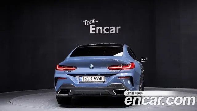 BMW 8 Series 2019 — ფოტო 14/20